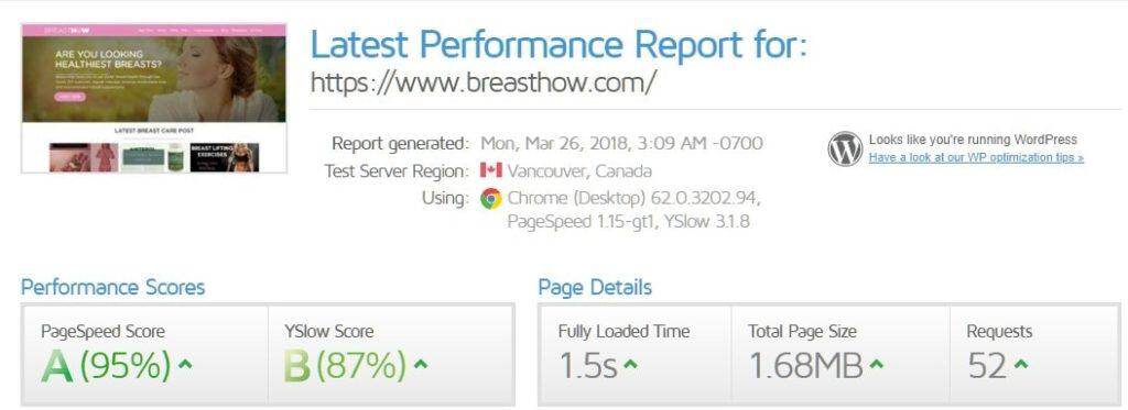 website is slow gtmetrix